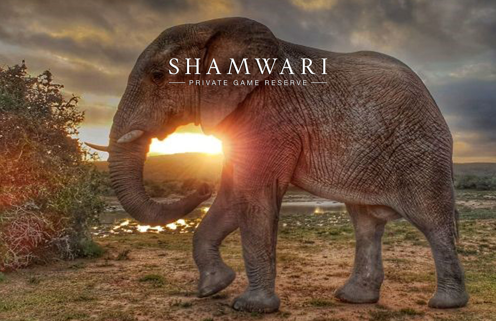 Shamwari_Game_Reserve-Specials-Product-Page